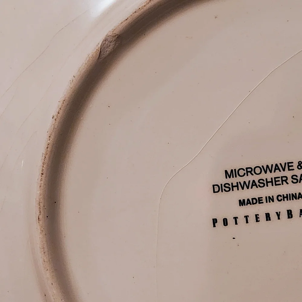 POTTERY BARN Set Of 4 Leopard Print 8 Inch Salad Plates